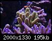 IMGP3283