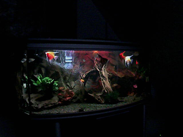 E8ABFA19A7B8( Aquaview ) m20130405181520