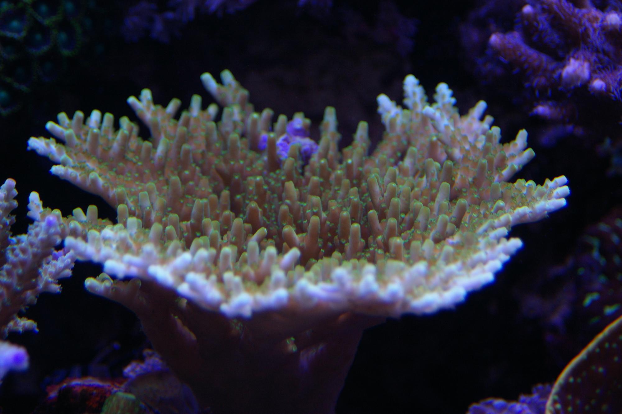 IMGP3867