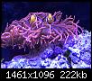 hmbpcEy7Tj690H2xrduzVAhttp://forum.aquariumcomputer.com/album.php?albumid=135&attachmentid=10674